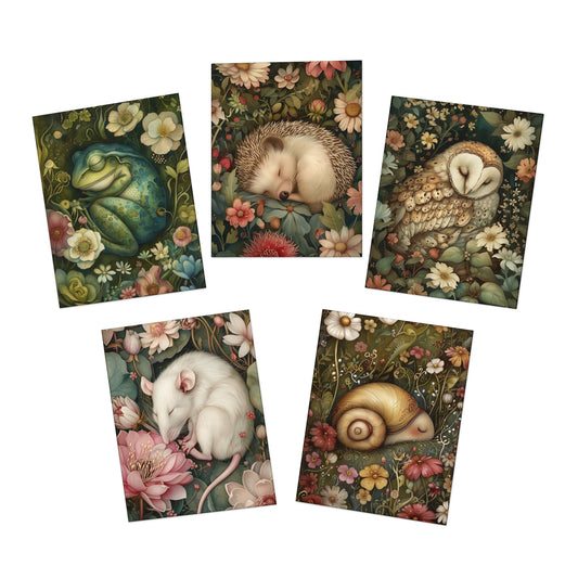 DP - Sleeping Animals - Multi-Design Greeting Cards (5-Pack) | 7